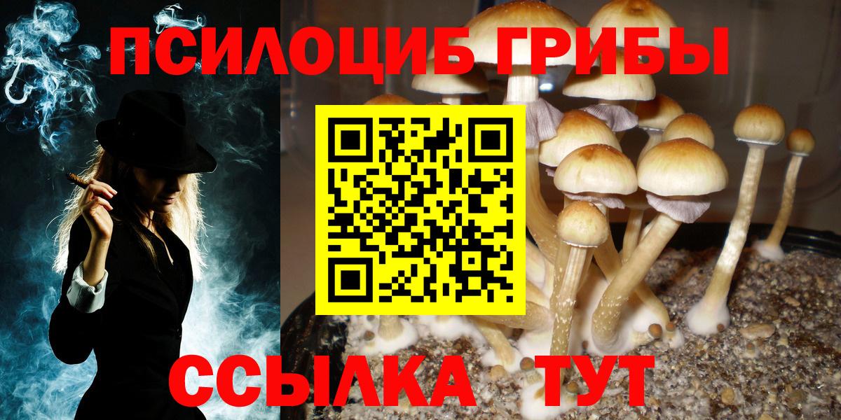 Галлюциногенные грибы ЛСД Верхняя Пышма