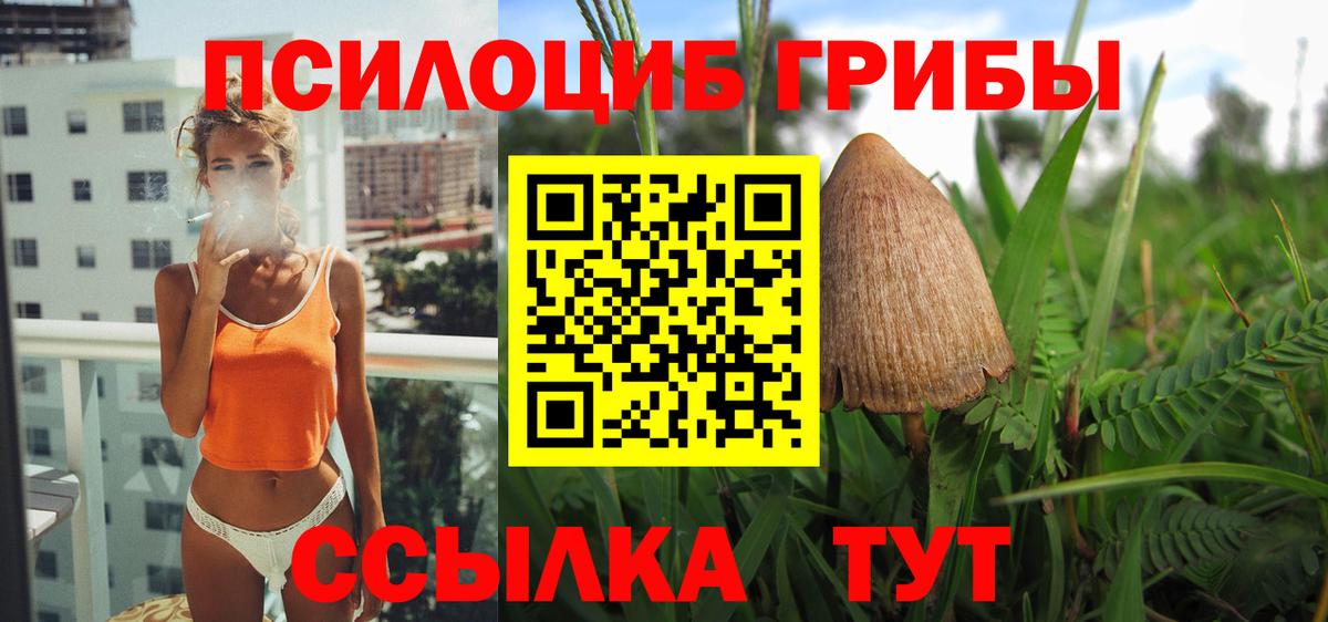 Псилоцибиновые грибы мицелий  Вход с VPN  Верхняя Пышма 